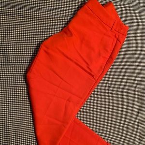 Express pixie pants